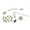 1100 Quat/WPS  Stay-Fit Maintenance Pack